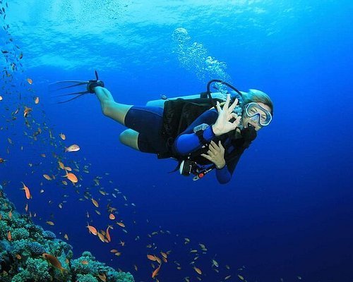 Scuba Diving Tour
